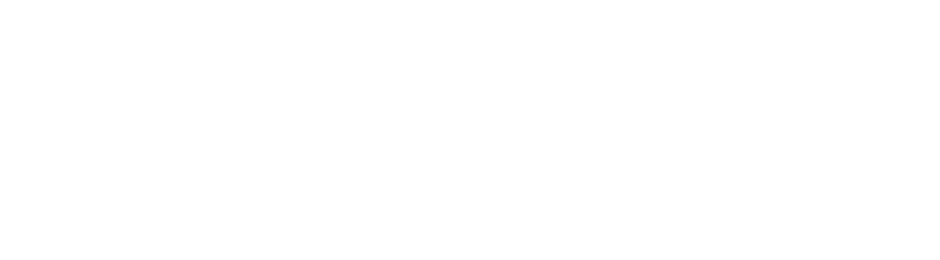 Lotus Sales